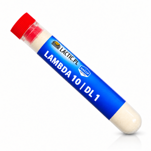 LAMBDA 10