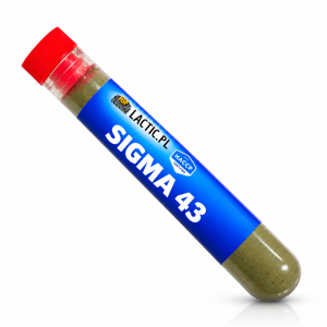 SIGMA 43