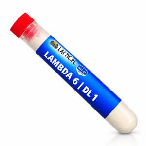 LAMBDA 6